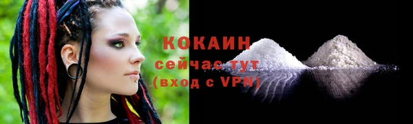 соль курить ск Дмитриев