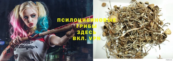 соль курить ск Дмитриев